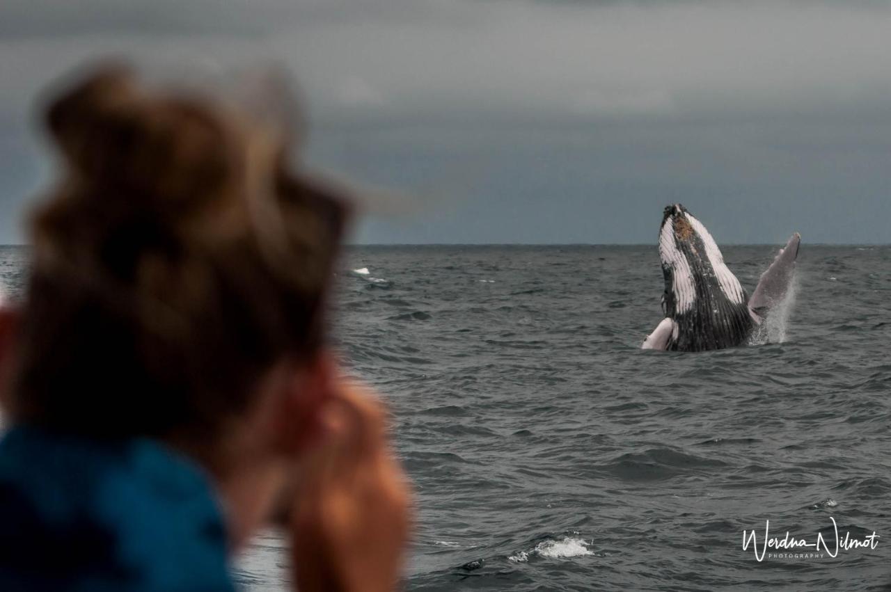 Whale House Hotel Пуэрто-Лопес Экстерьер фото